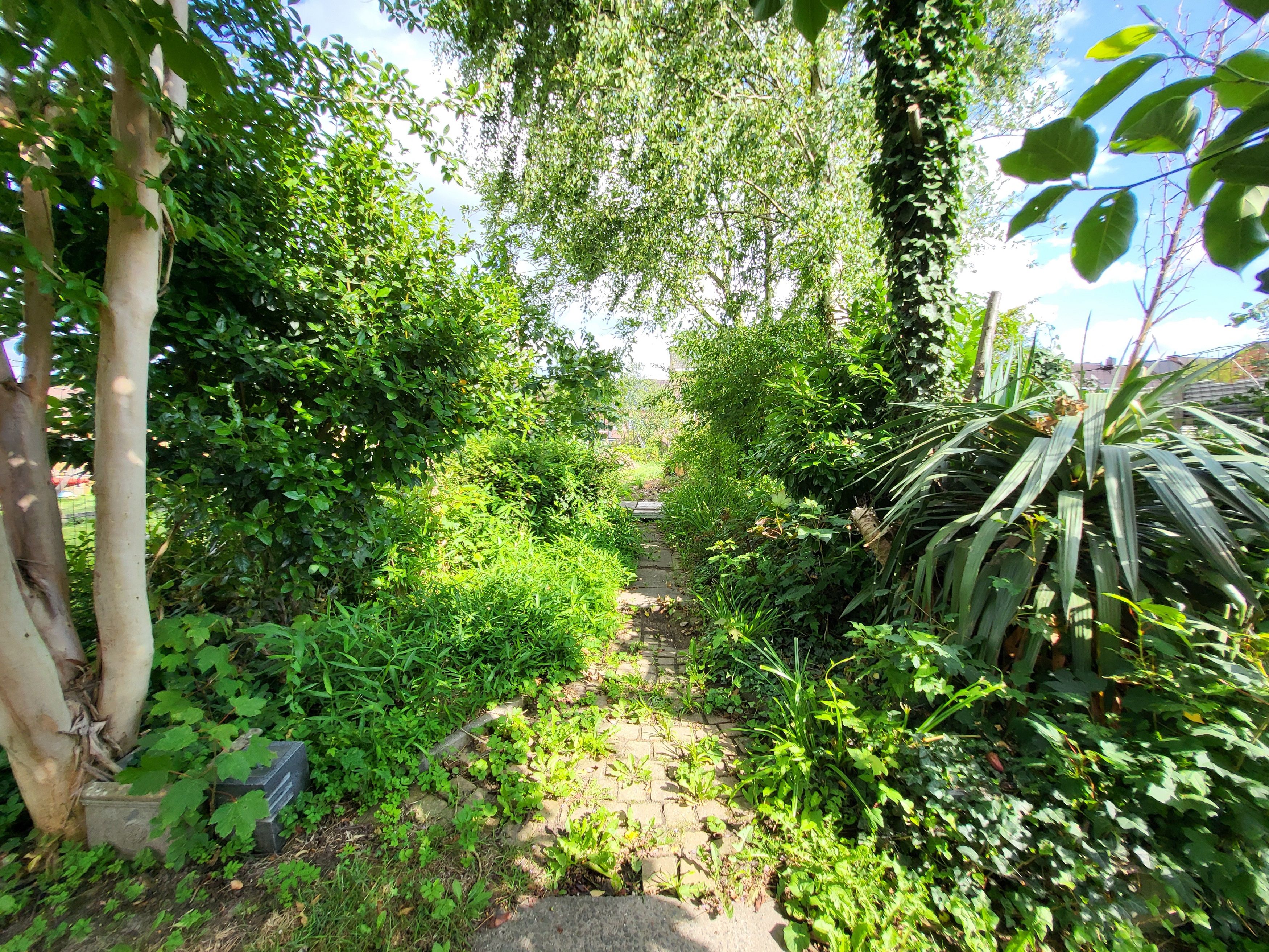 Prachtig gerenoveerde burgerwoning op wandelafstand van het centrum met zuidgerichte tuin.  foto 29