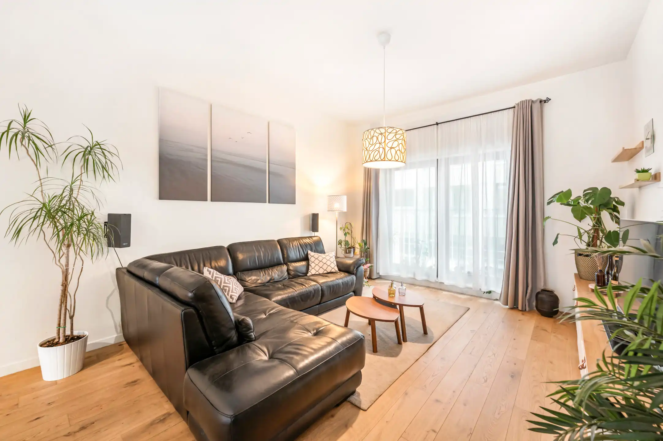 ANTWERPEN EILANDJE - Appartement met ruim zonneterras foto 4