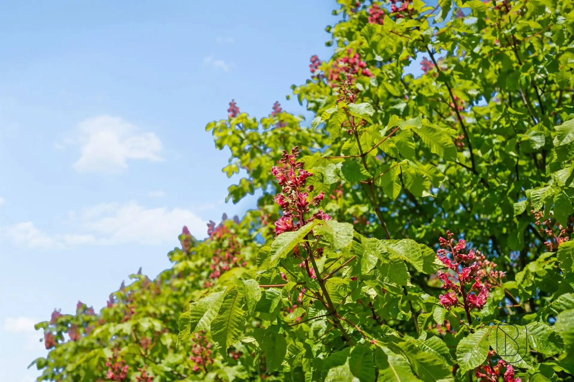 Unieke eigendom op 18 hectare te Kwaremont foto 32