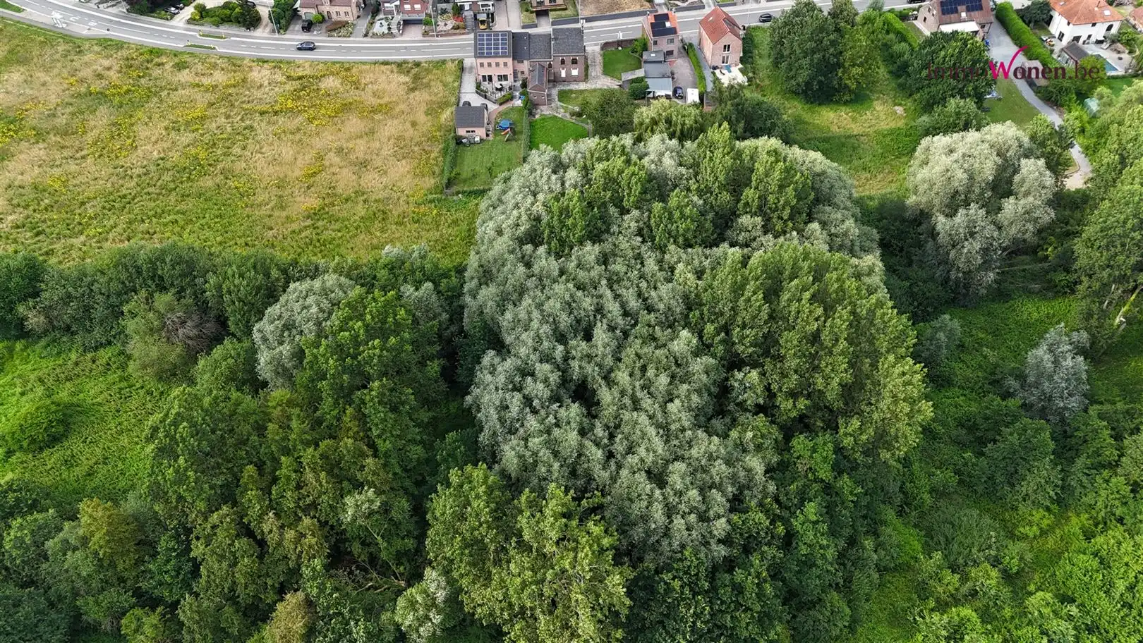 Te renoveren Woning op groen breed perceel bij ImmoWonen foto 54