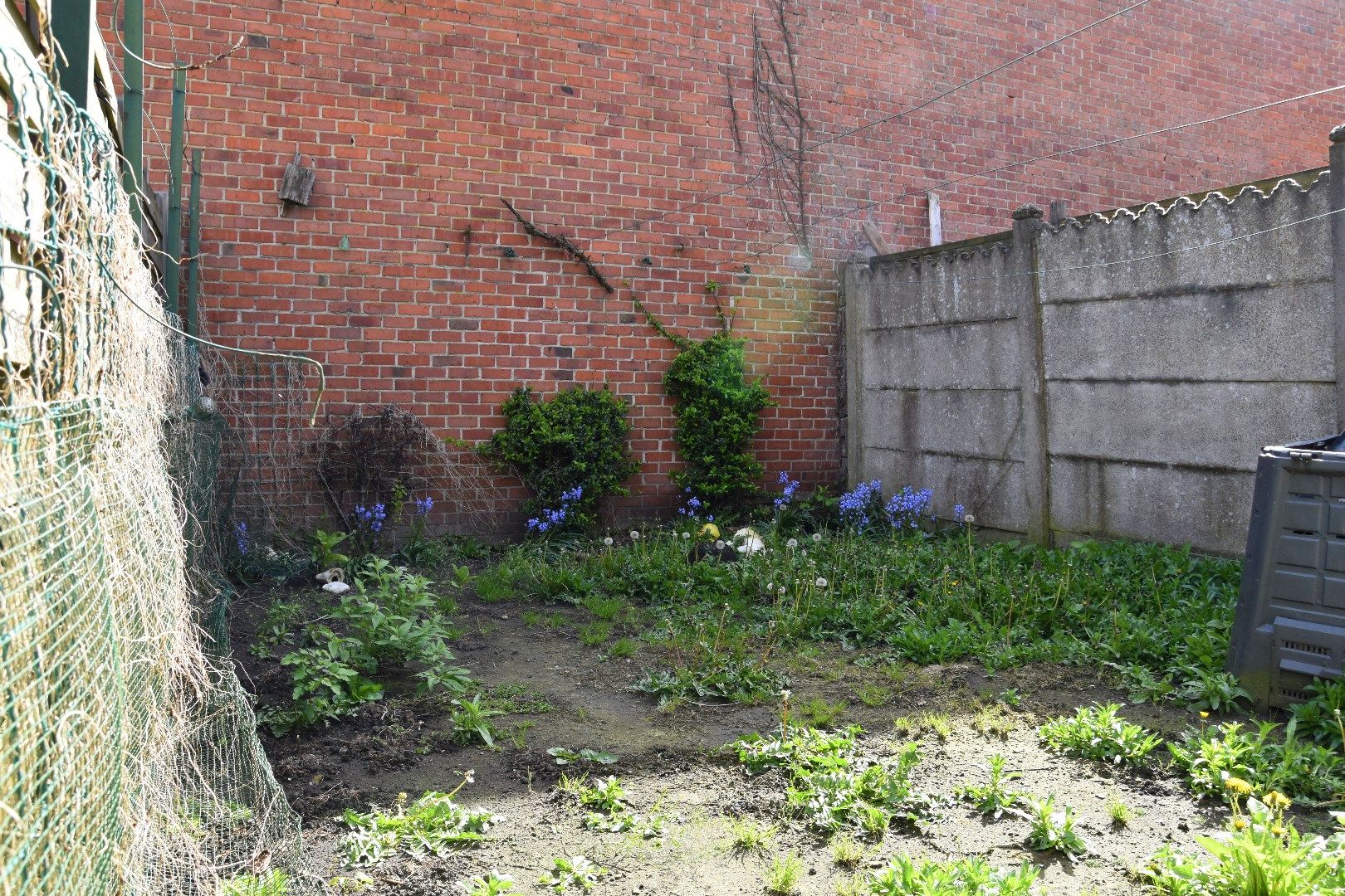 Rijwoning met 3 slaapkamers (mogelijkheid tot meer) en tuin te koop in Menen foto 12