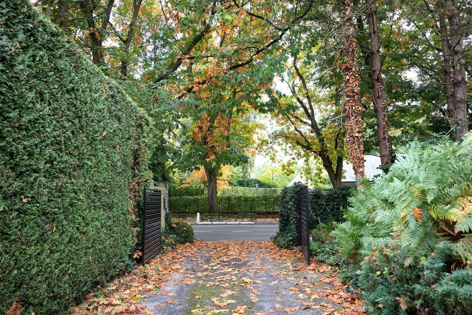 Gezellige instapklare woning met een prachtige groene tuin! foto 72