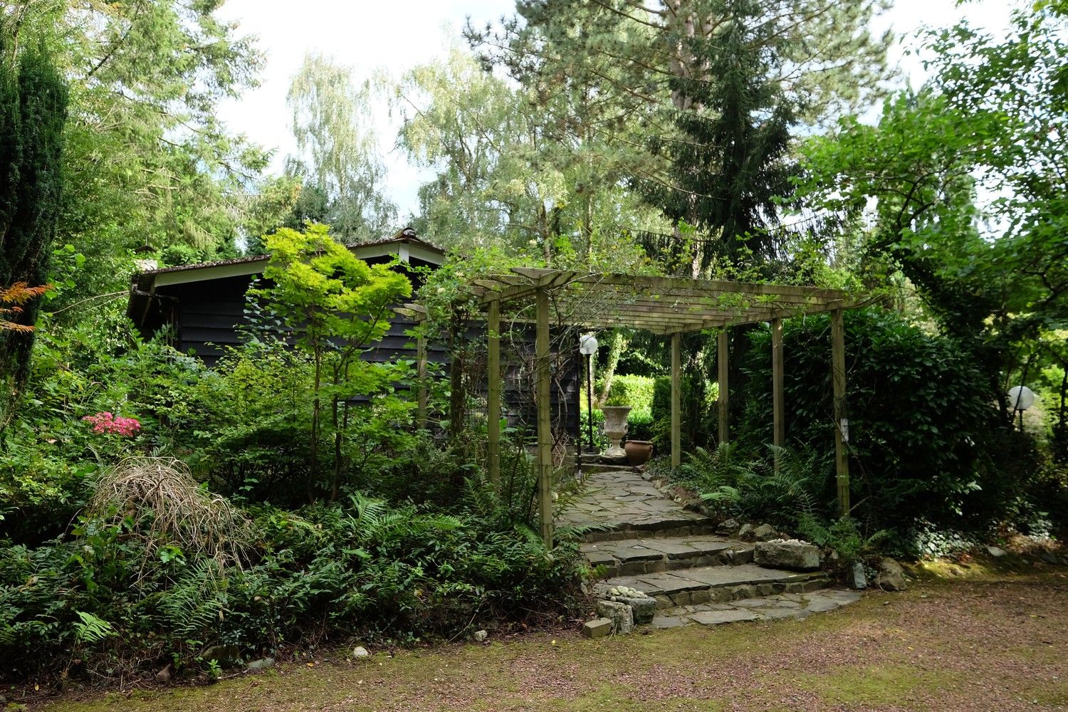 Uniek perceel met een charmante vakantiewoning midden in de natuur omgeven door een uitzonderlijke collectie van prachtige bomen. foto 14