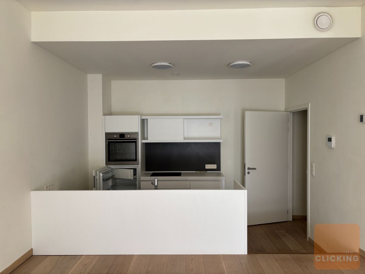 Tof 1 slaapkamerappartement met terras en tuintje foto 8