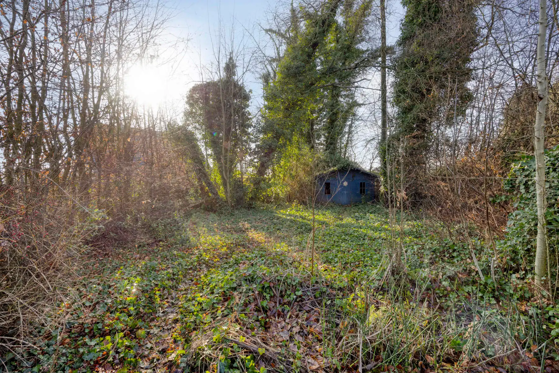 Charmante woning met zuidgerichte tuin op rustige ligging foto 25