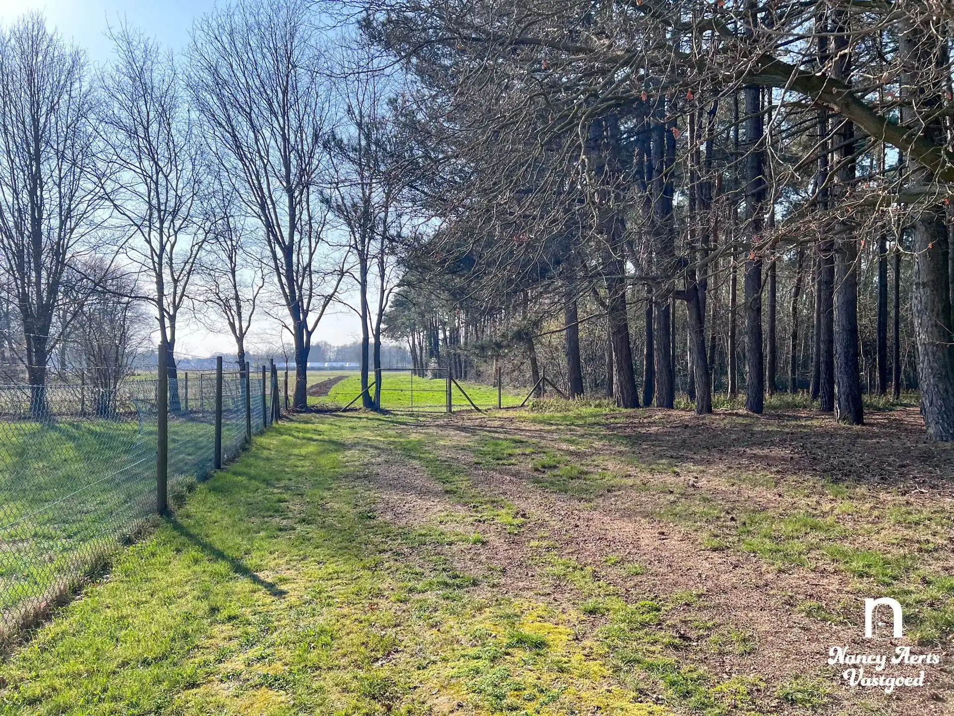 Ruime, luxueuze villa met overdekt zwembad en 1,8 ha natuur foto 29