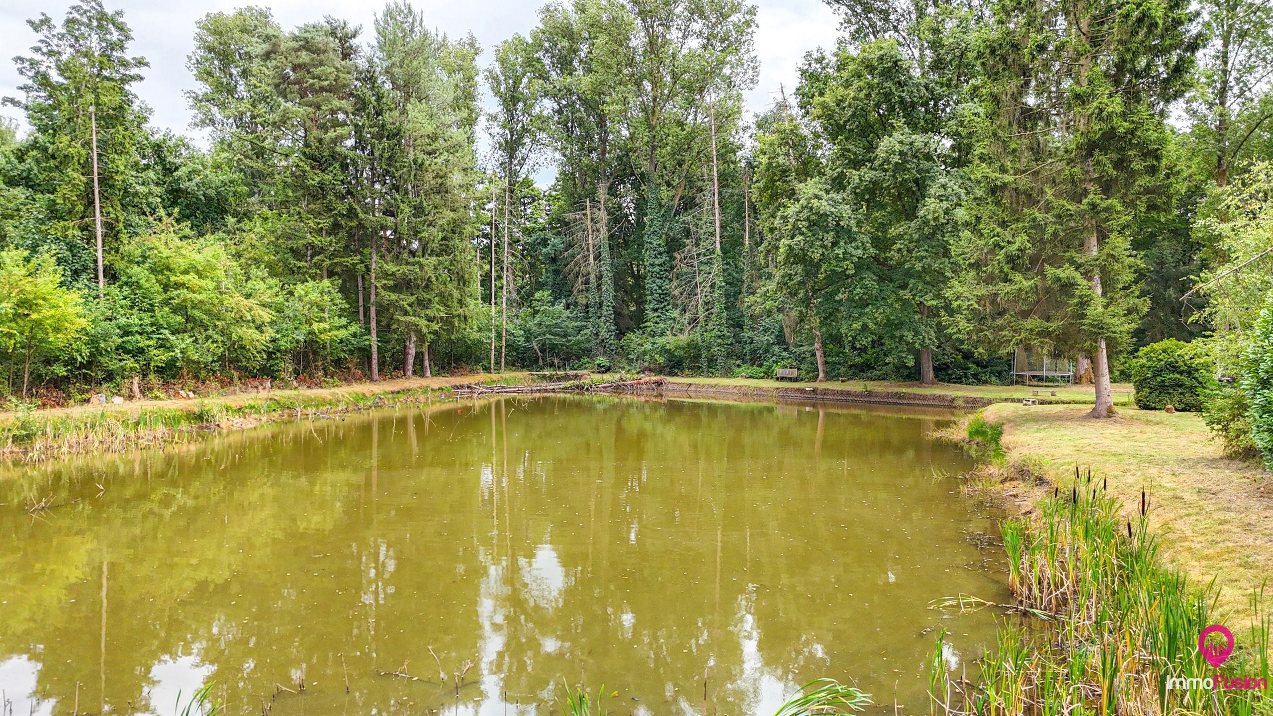 Droom buitenverblijf in Hasselt voor natuurliefhebbers!  foto 14