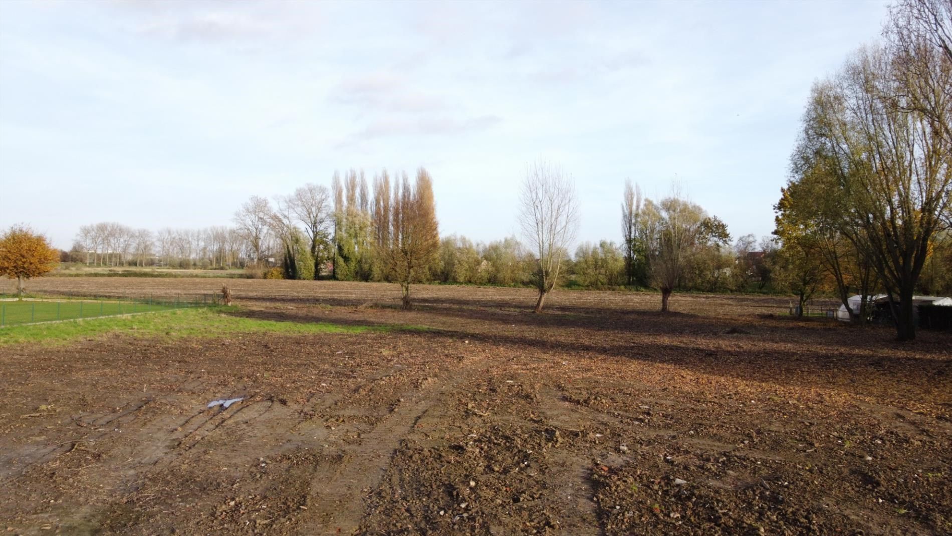 BOUWGROND ZONDER BOUWVERPLICHTING (2000M²) foto 3