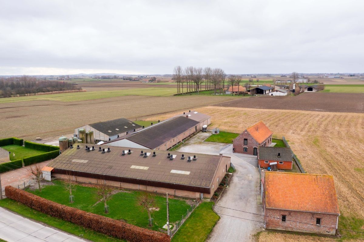 Varkensbedrijf te koop te Leisele foto {{pictureIndex}}