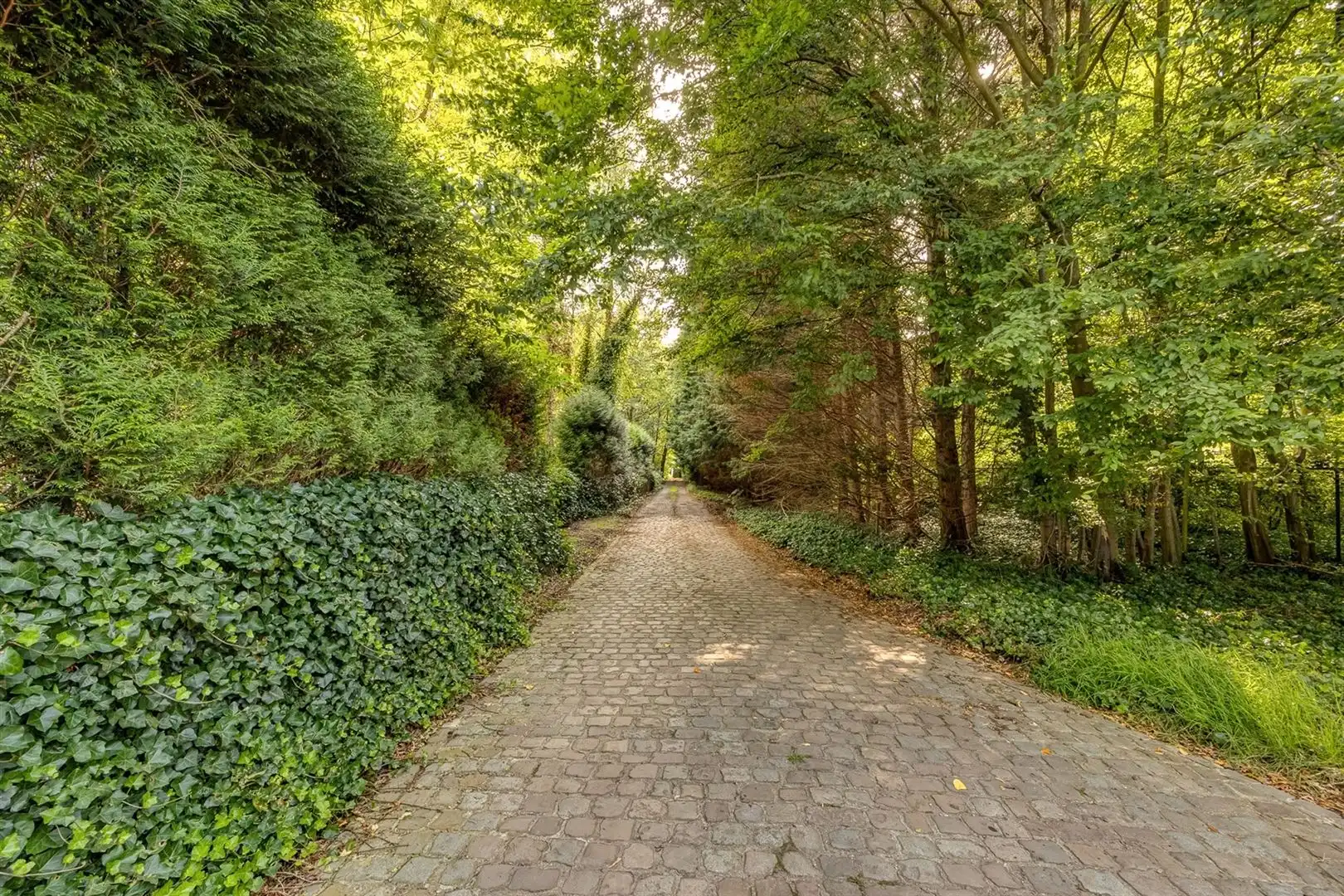 Historische pachthoeve "De List" foto 26