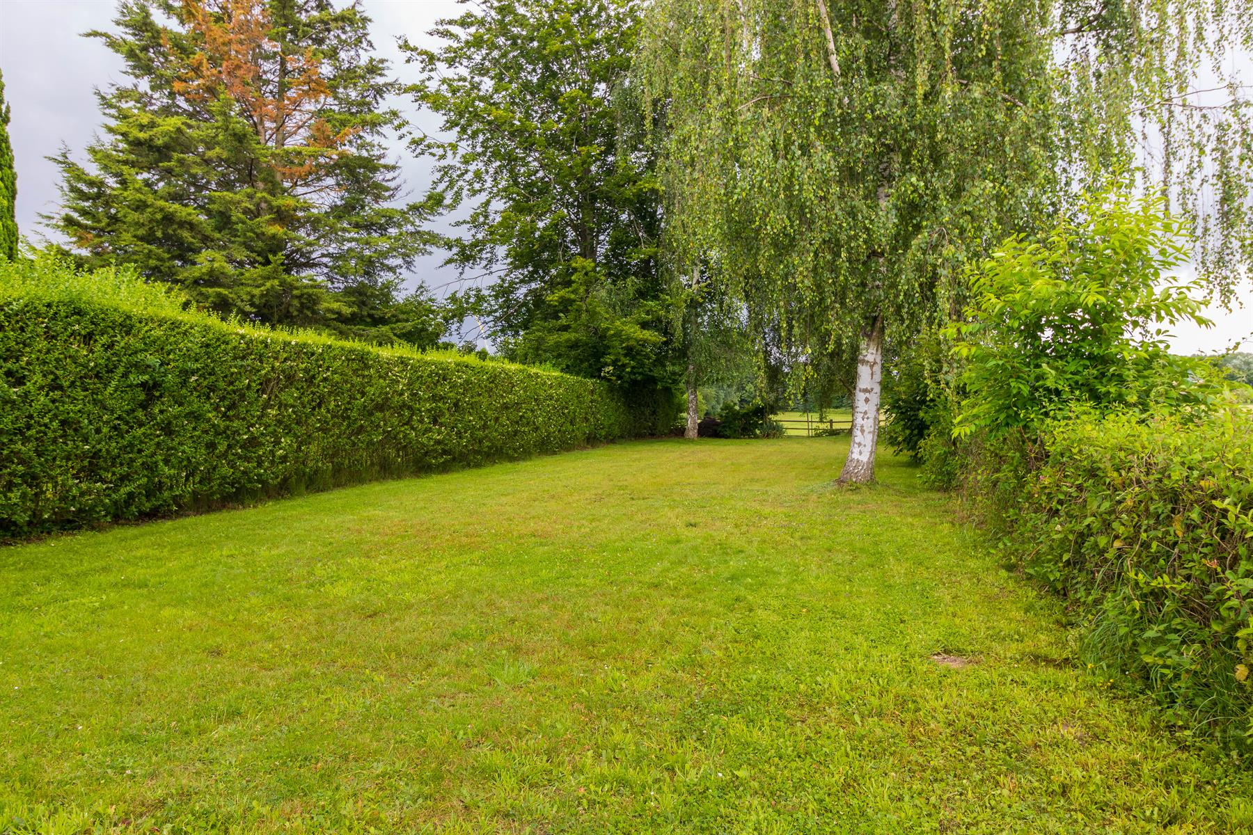 Huis te huur foto 23