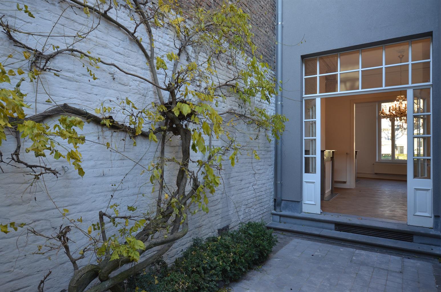 Huis te huur foto 6