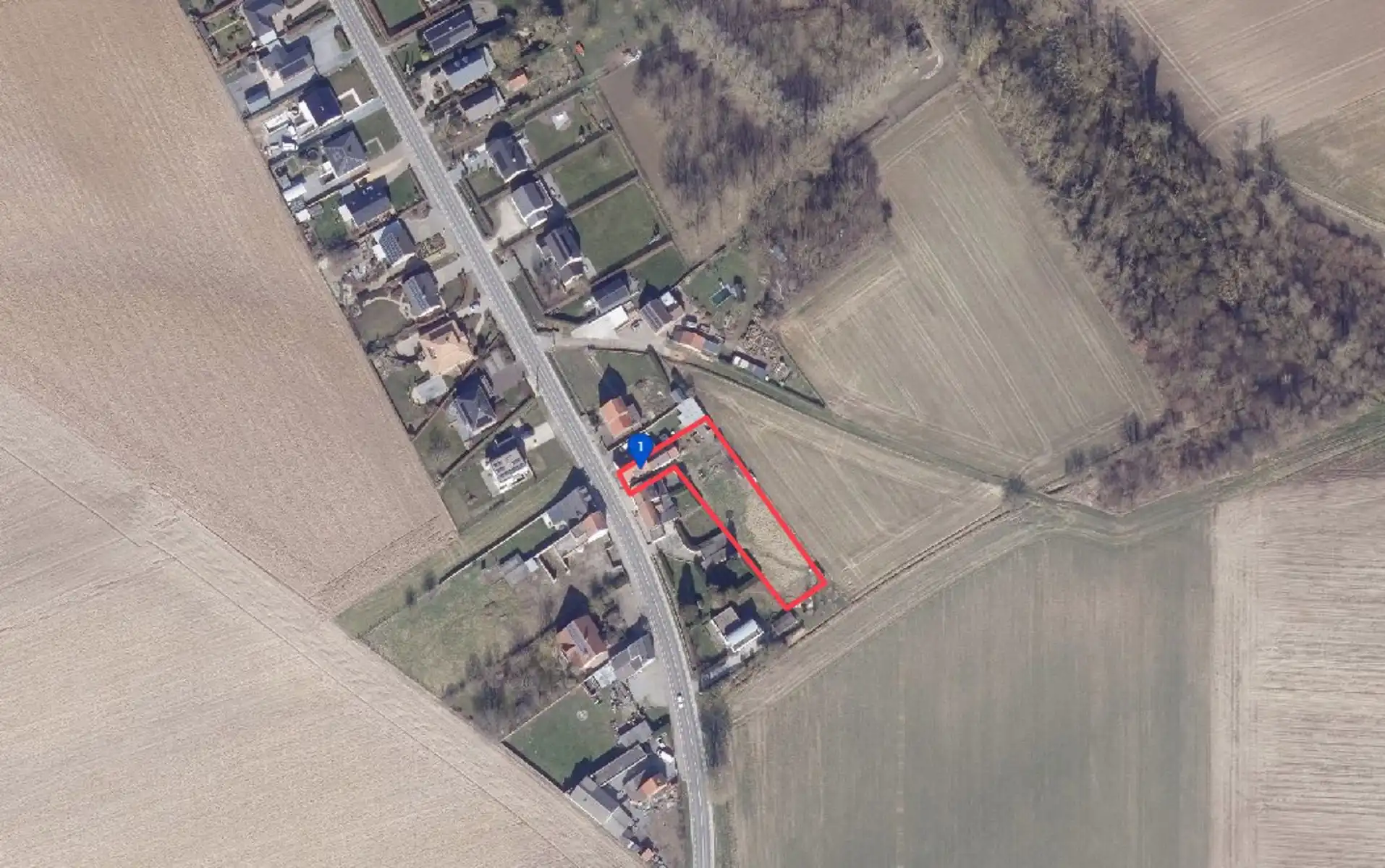 HOB -  3 kamers en ruime tuin foto 30