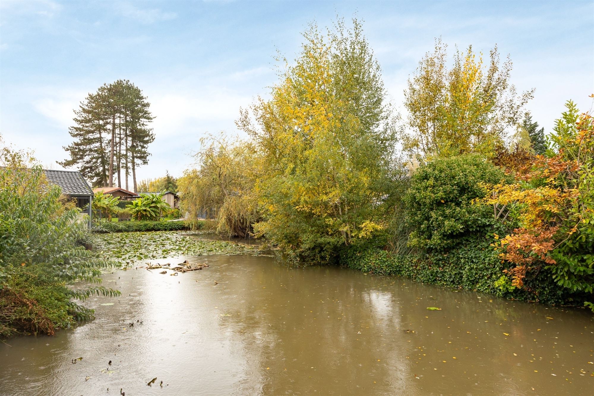 Gerenov. chalet met ruim terras te 'Netevallei' foto 18