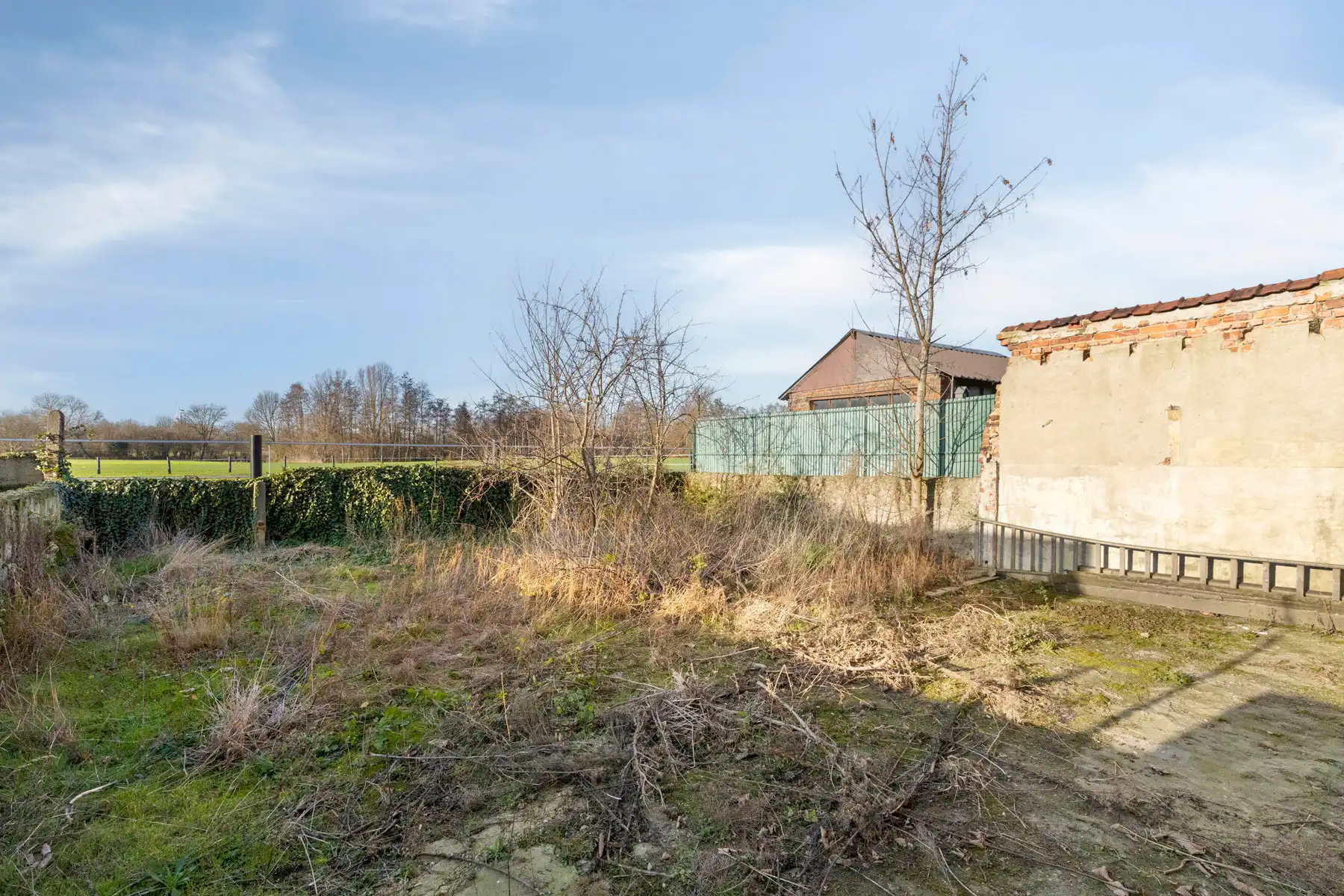 Ruim magazijn (433m² bruikbare oppervlakte) met oprit. foto 9