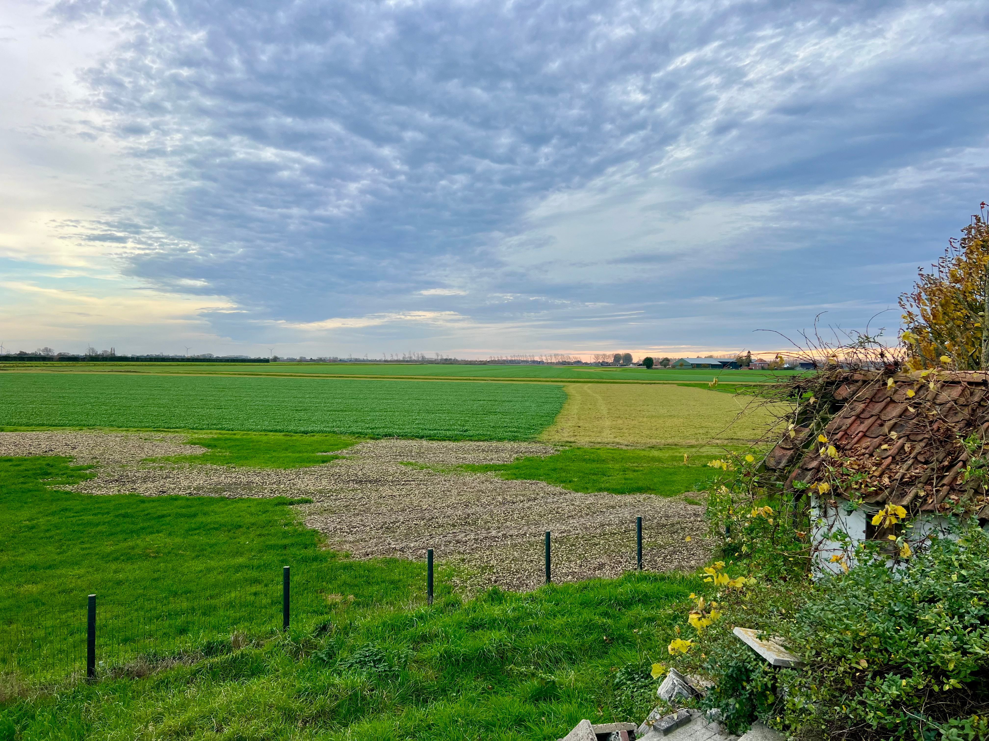 Te renoveren dijkwoning met fenomenaal zicht te Watervliet foto 2