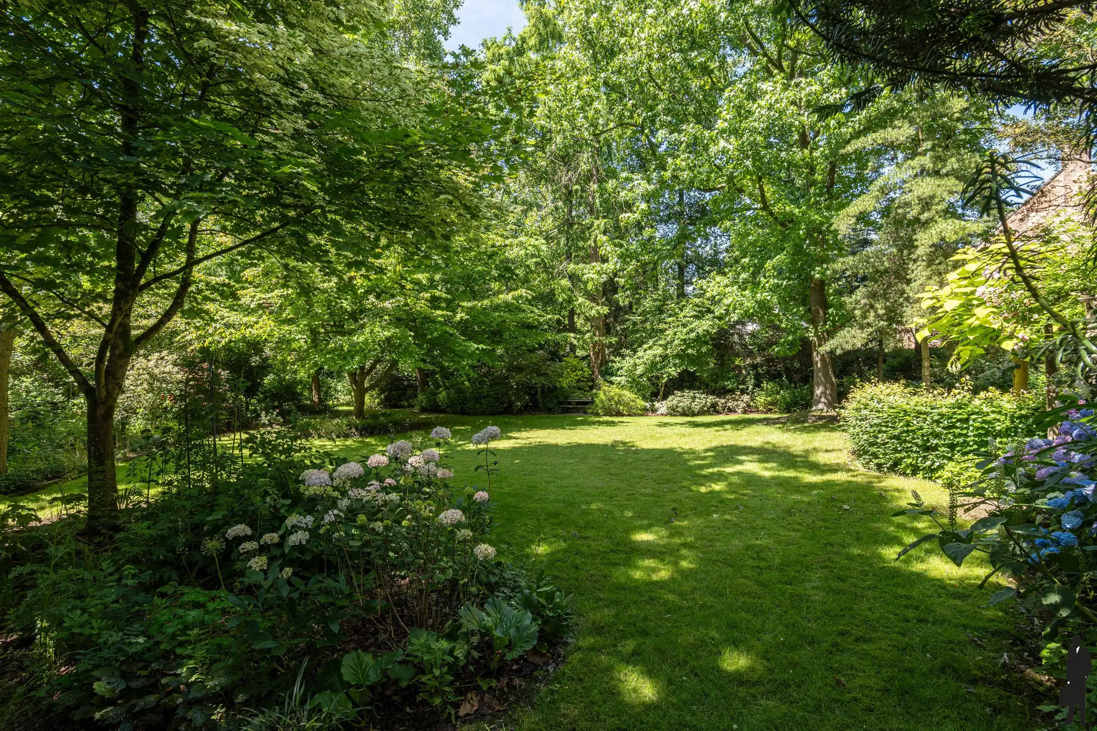 Te renoveren woning met 6 slpk. op 2.581 m² foto 29