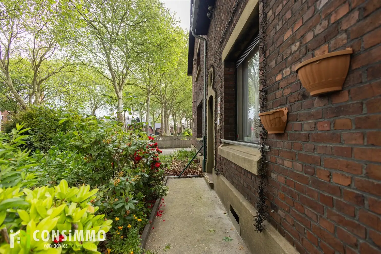 Karaktervolle mijnwoning in de tuinwijk van Waterschei foto 4