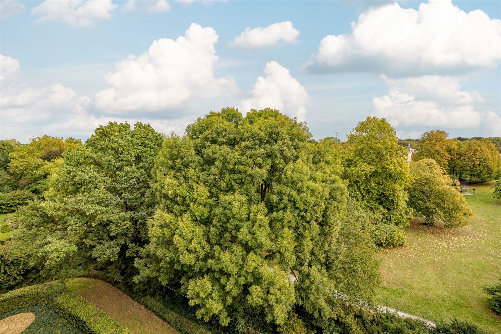 Appartement met zicht op het Runcvoortpark foto 4