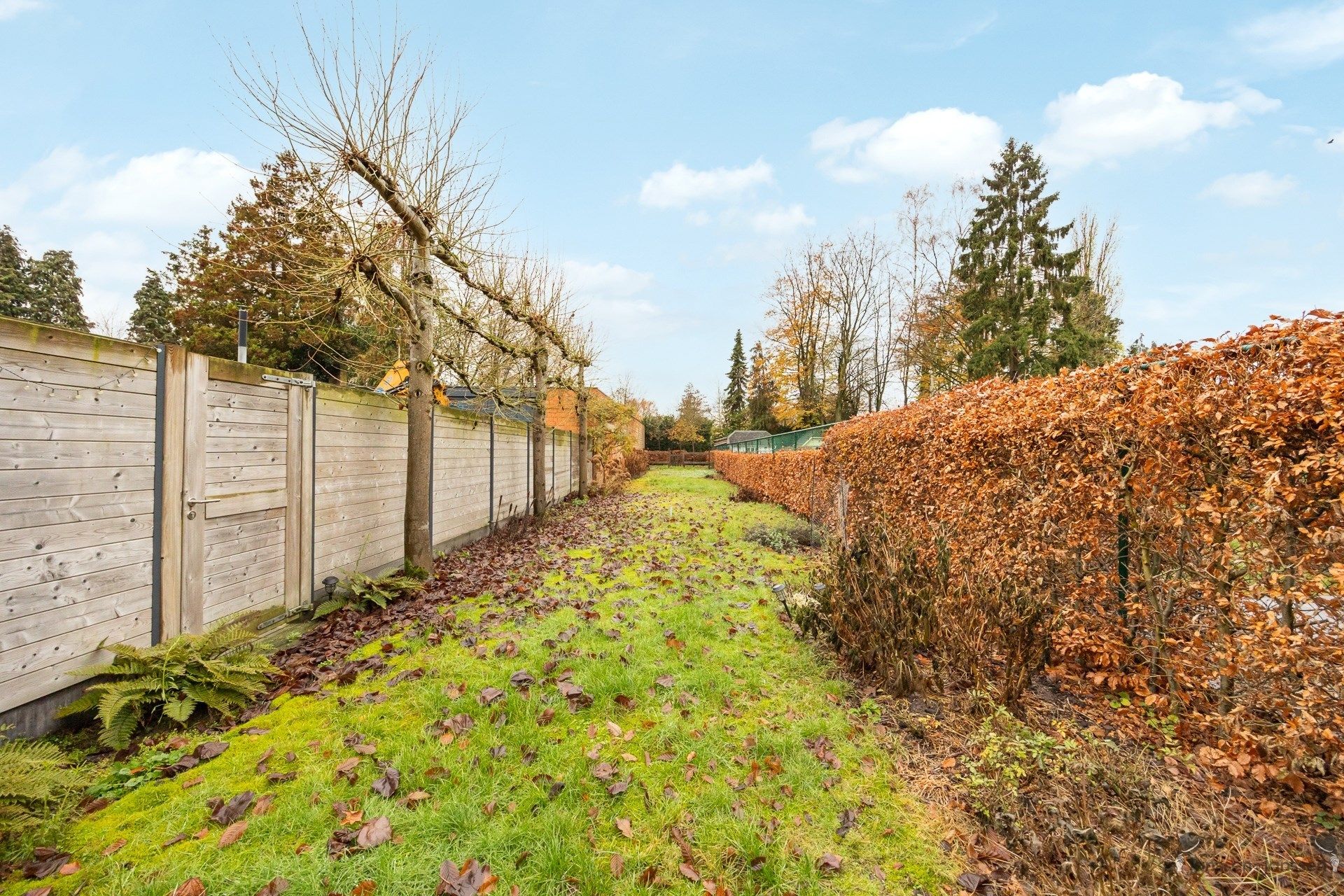 Gezellige woning met 3 slaapkamers en tuin in centrum Brasschaat foto 16