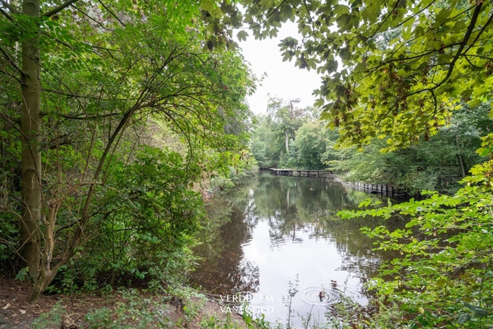 Wonen in de bomen: heerlijk appartement met 2 slaapkamers, terras en garage foto 12