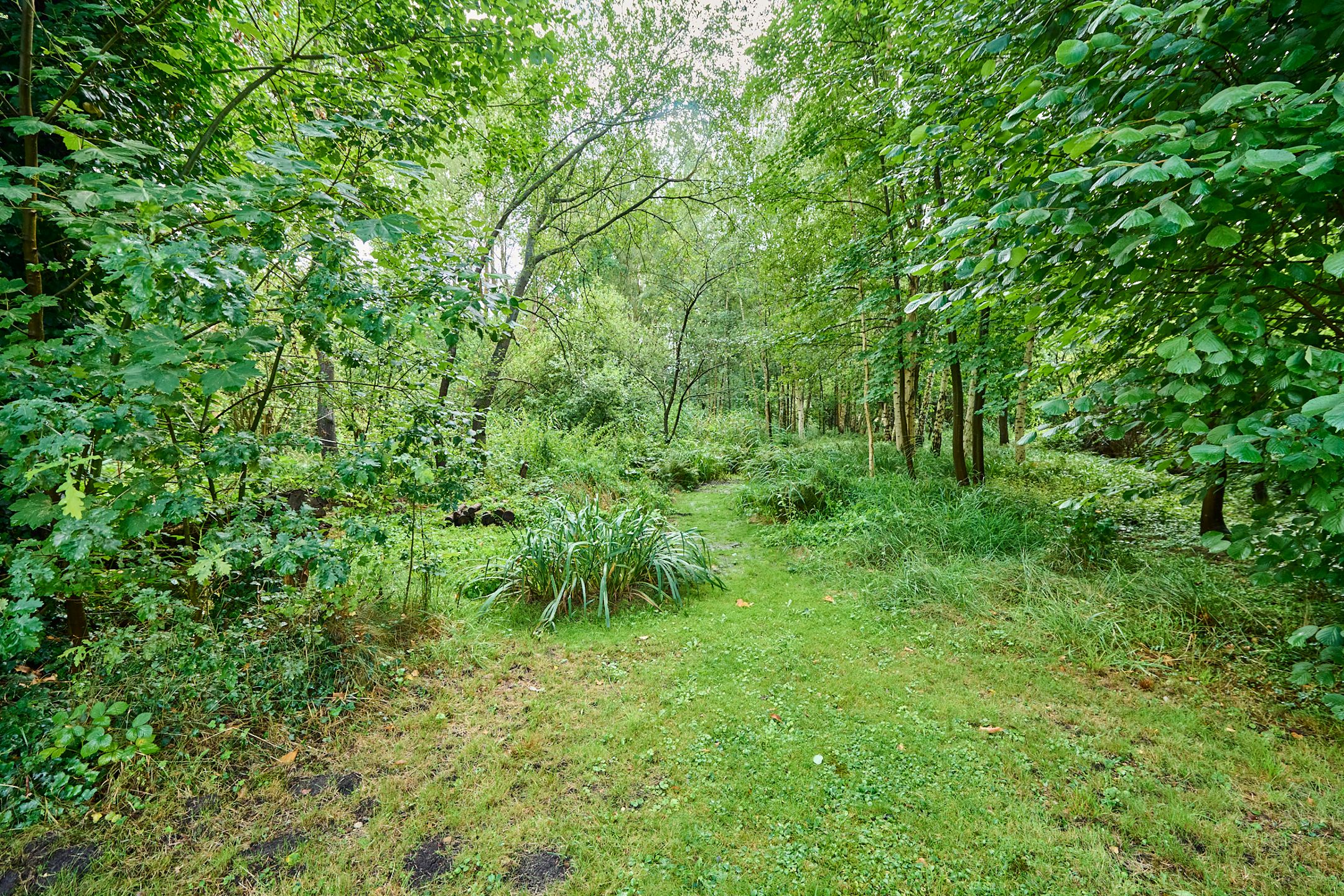 Villa met tal van mogelijkheden op 38are foto 22