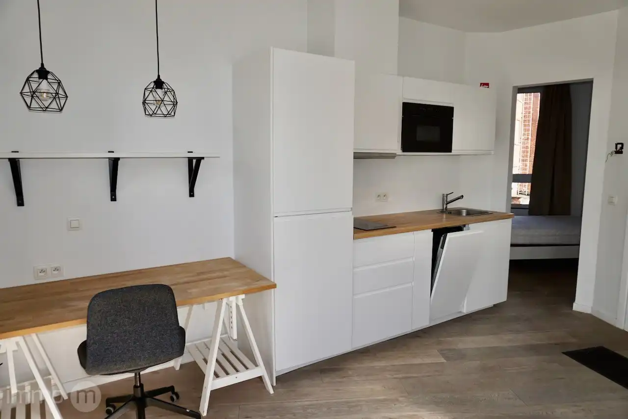 Gemeubelde studio 32m2 met aparte slaapkamer en open uitzicht – Tervuursevest Leuven foto 7