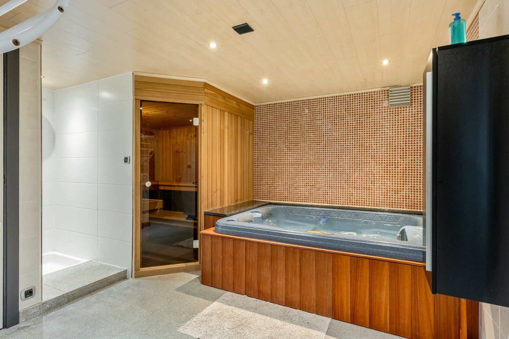 Villa met 115m² ondernemingsruimte! foto 3