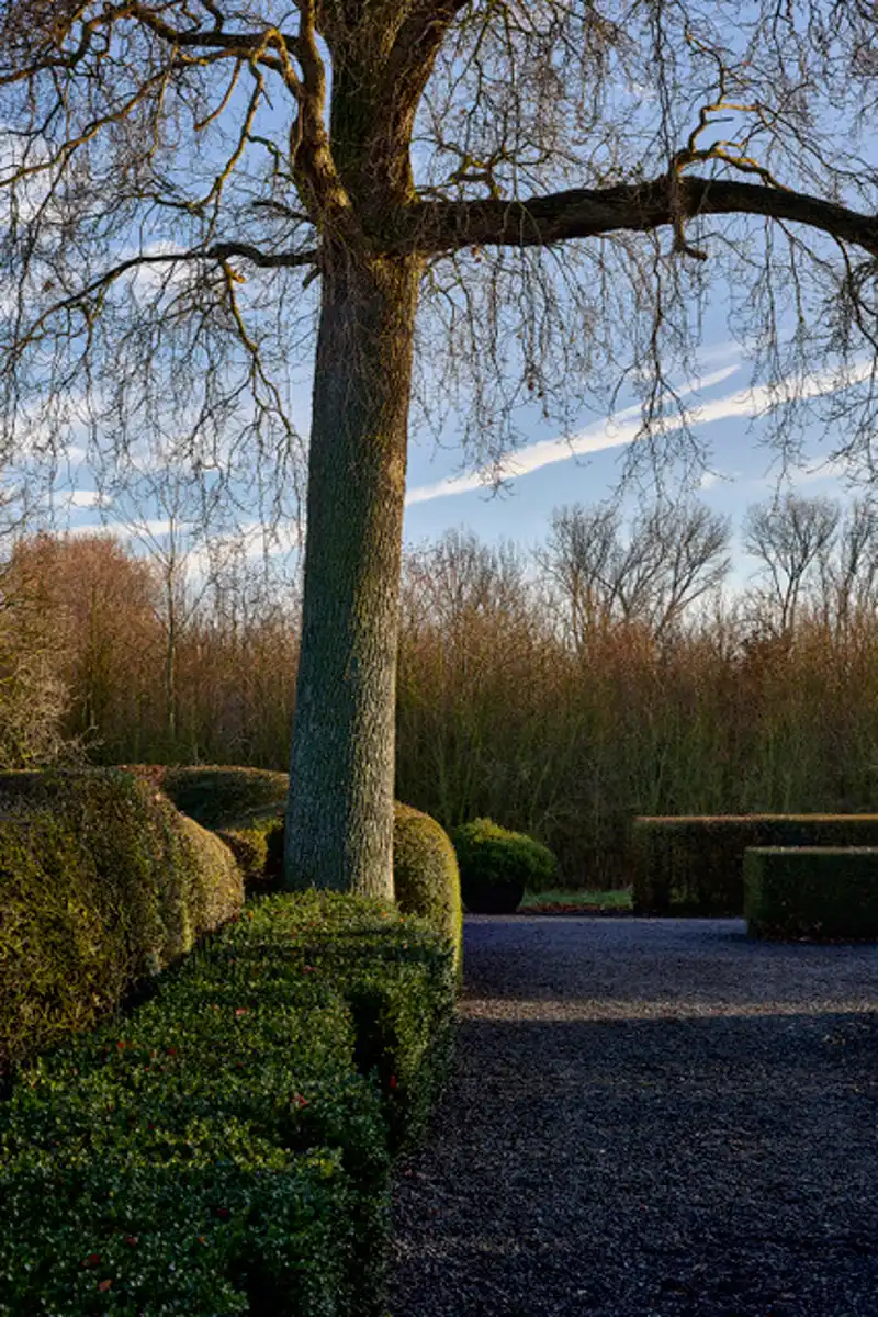 Prachtige thuis in totale discretie, tussen veld en bos... foto 4