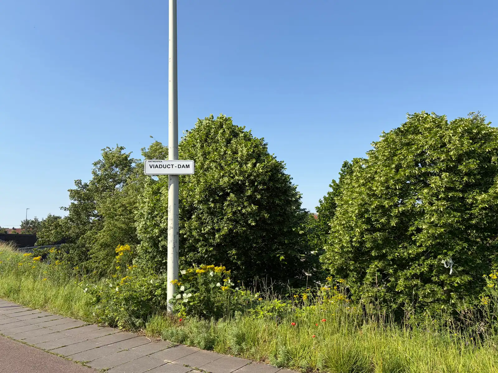 Commercieel handelspand tegenover Park Spoor Noord! foto 13