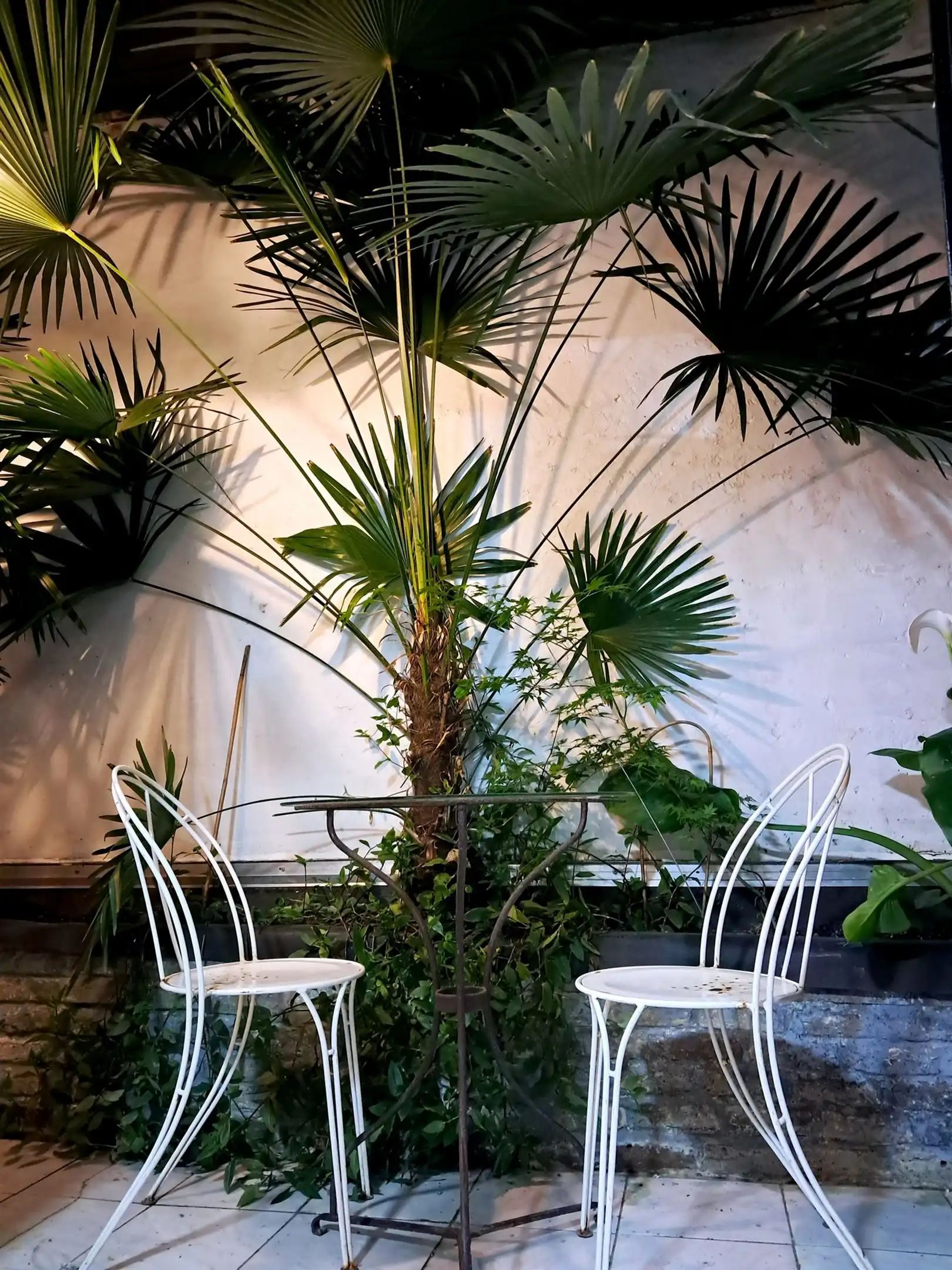 Volledig vernieuwd appartement vlakbij Italiëlei.  foto 11