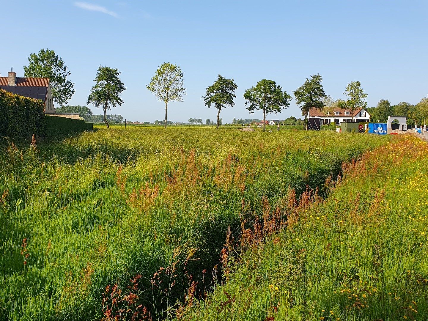 ()=>{if(producerUpdateValueVersion(node),producerAccessed(node),node.value===ERRORED)throw node.error;return node.value} Waterpolder 22 - - 9992 Maldegem