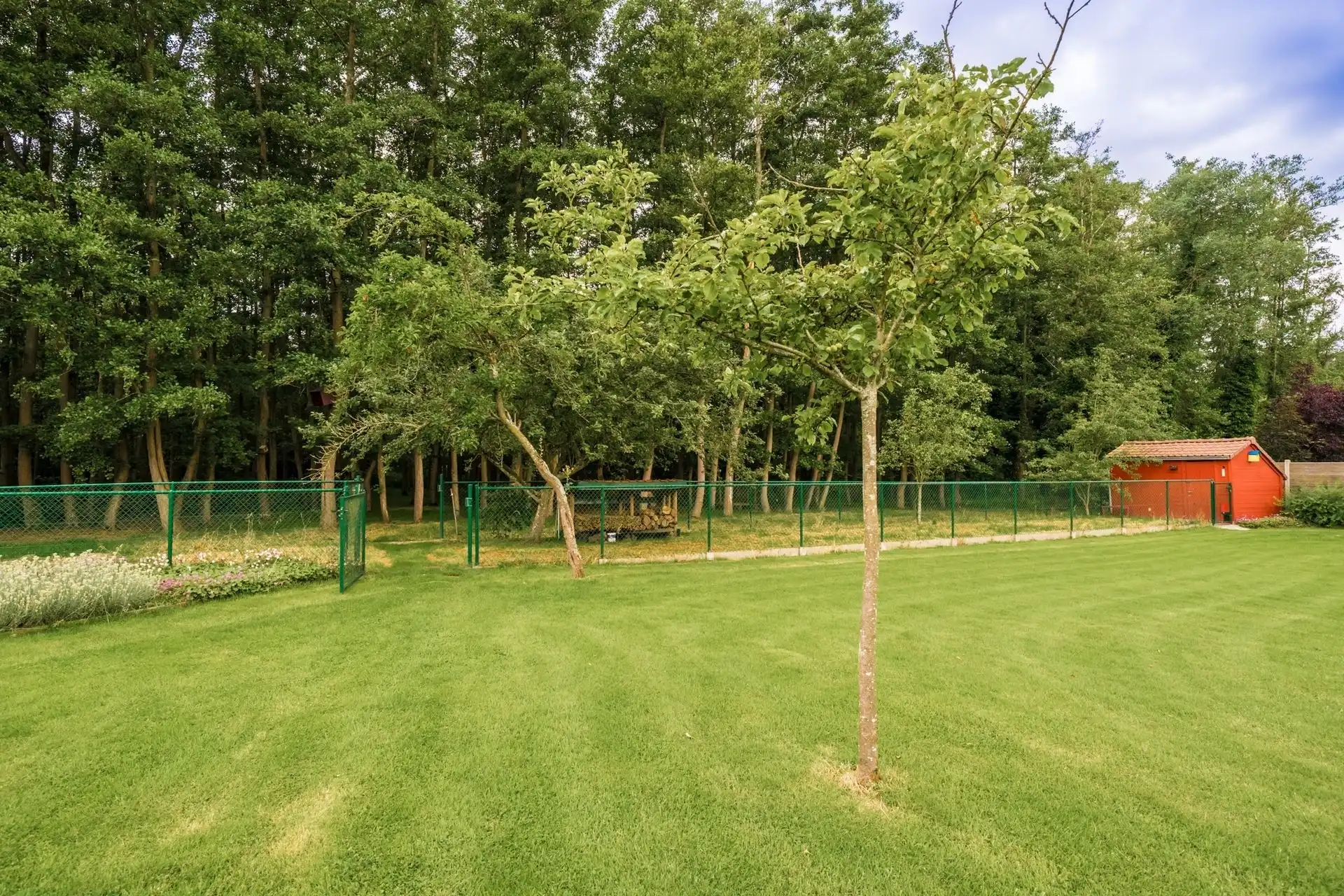 Villa met privébos op een perceel van 4.350 m²  foto 30