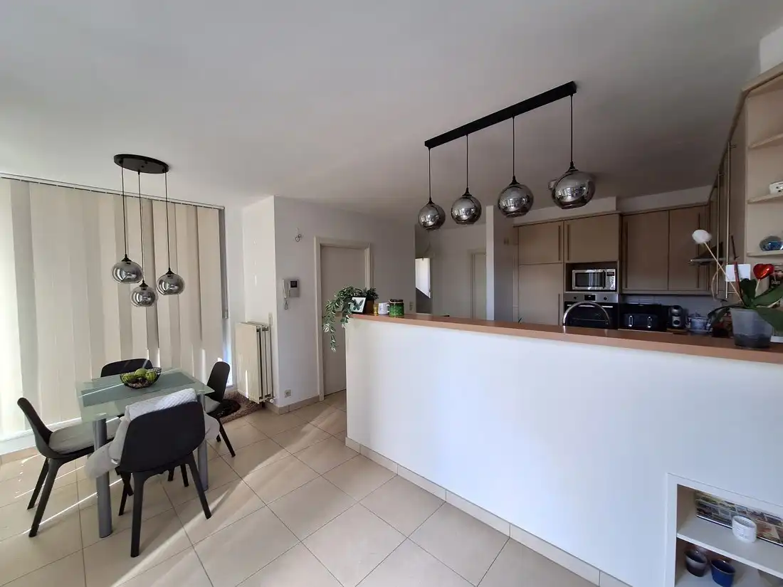 Penthouse aan de Beringse stadsrand foto 8