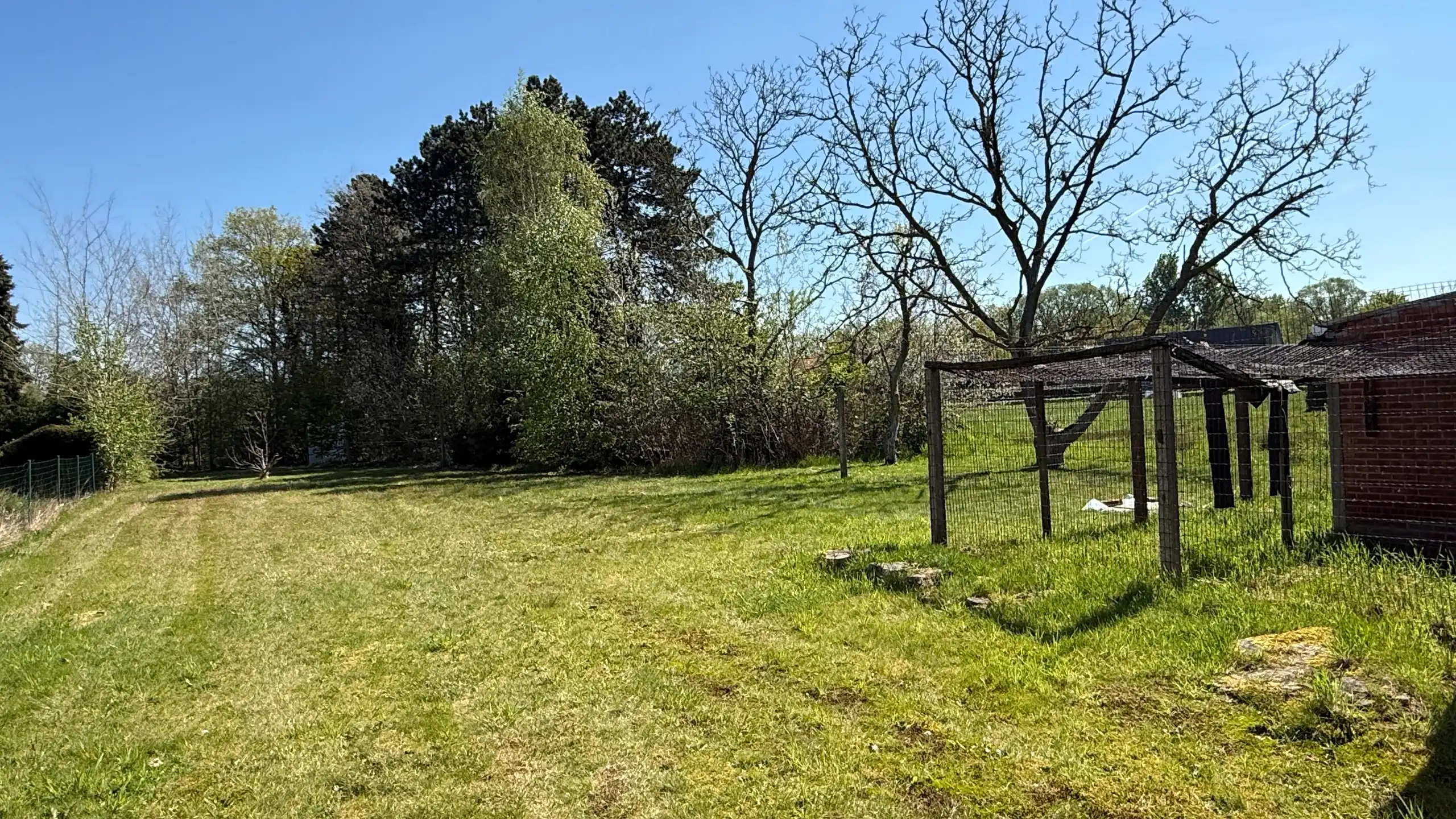 Te renoveren woning op prachtig perceel in het groene Baal foto 14