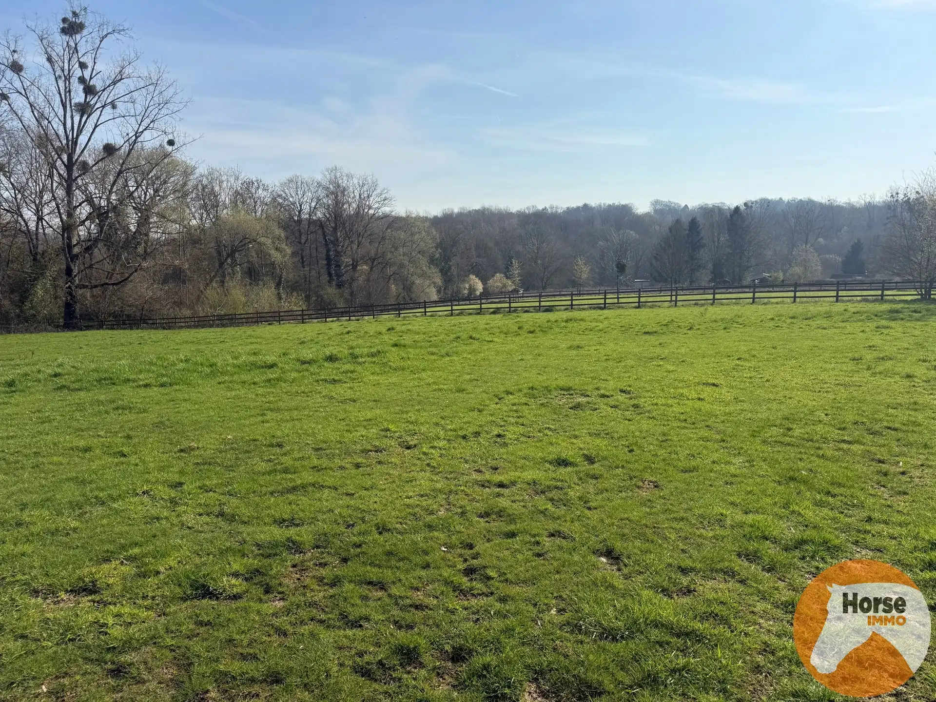 HALLE – Charmante woning met stallen op 1,15ha aan Hallerbos foto 12