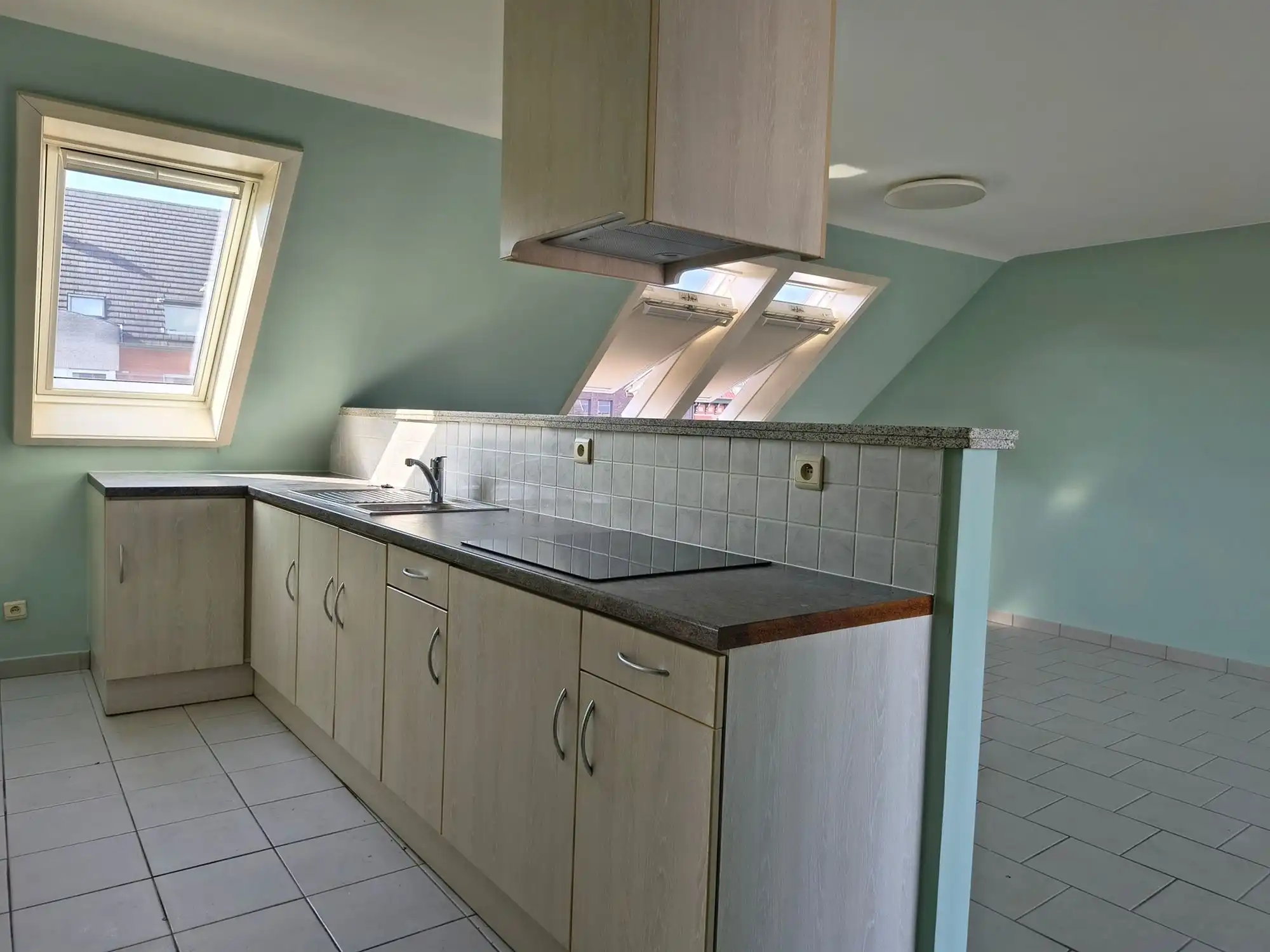 gezellig 1-slaapkamerappartement met groot terras en autostaanplaats foto 9