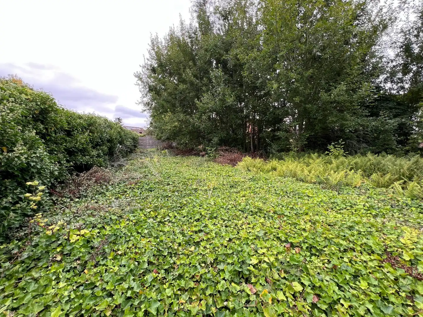 Residentiële villagrond voor OB - 716m². foto 4