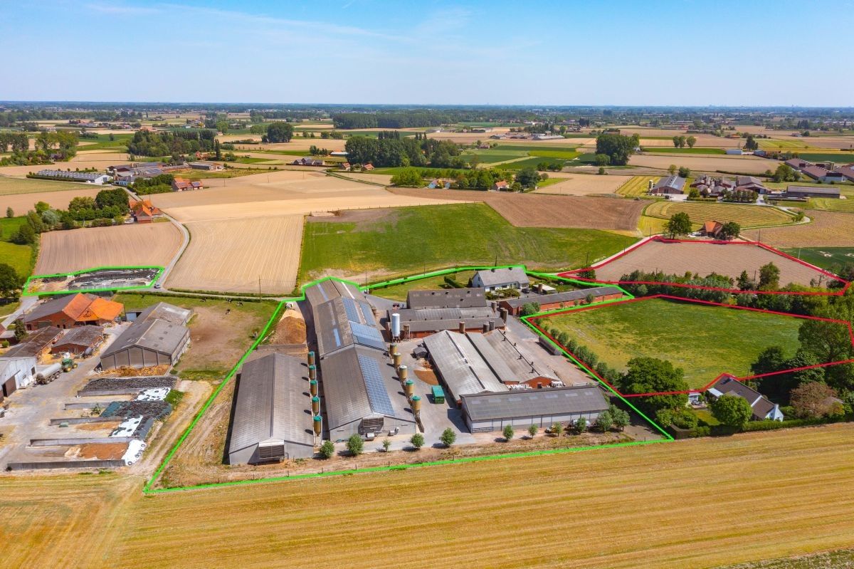 Rundvee- en varkensbedrijf te koop te Kanegem-Tielt foto 16