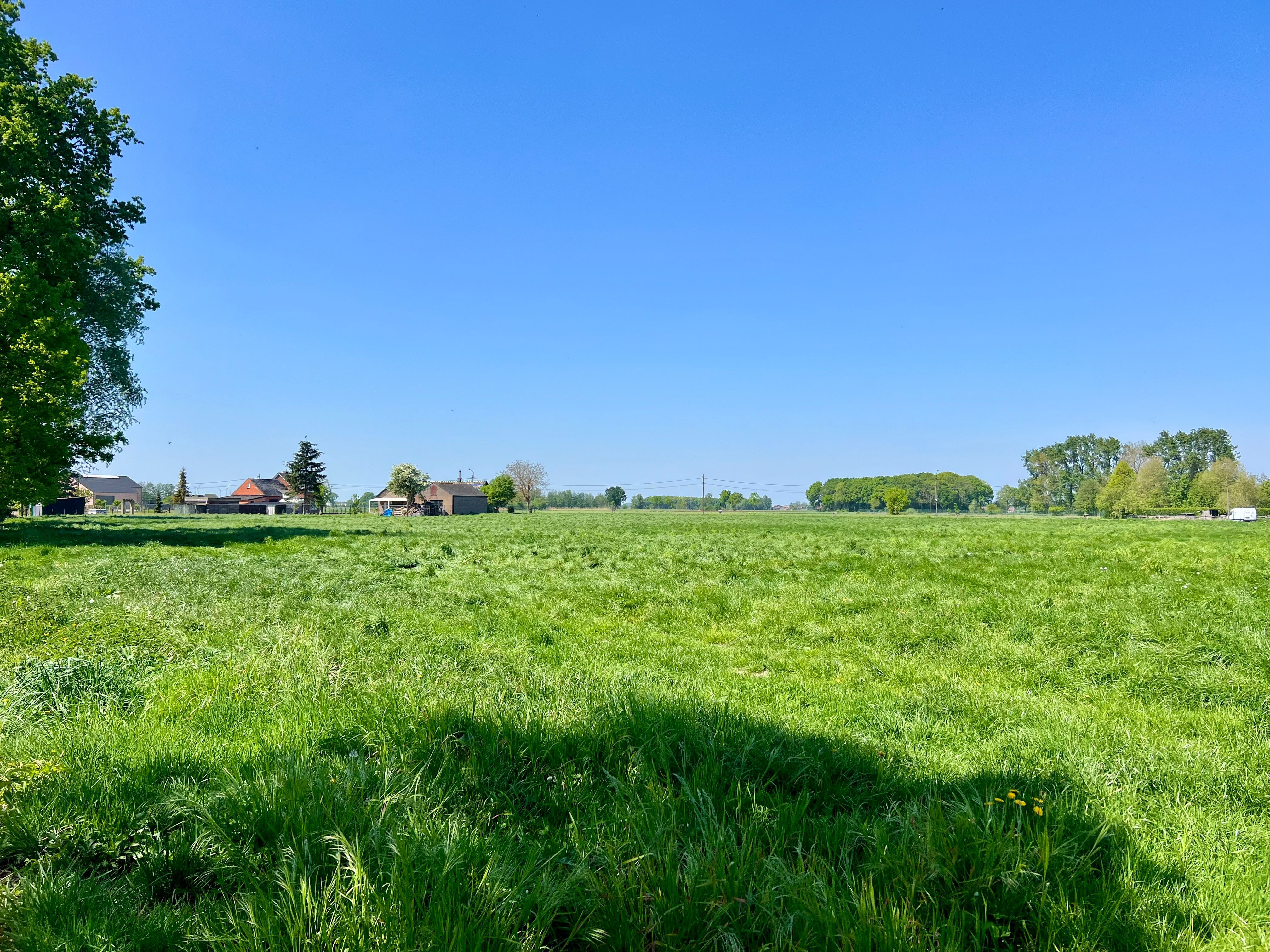 Te renoveren, nieuwbouw open bebouwing of verkaveling koppelwoning foto 10