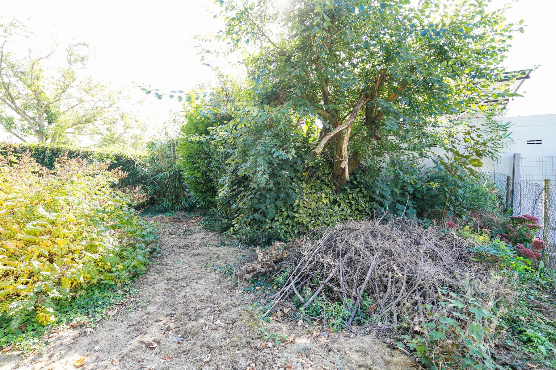 Uitstekend gelegen, te renoveren halfopen bebouwing met prachtige tuin te Londerzeel foto 29