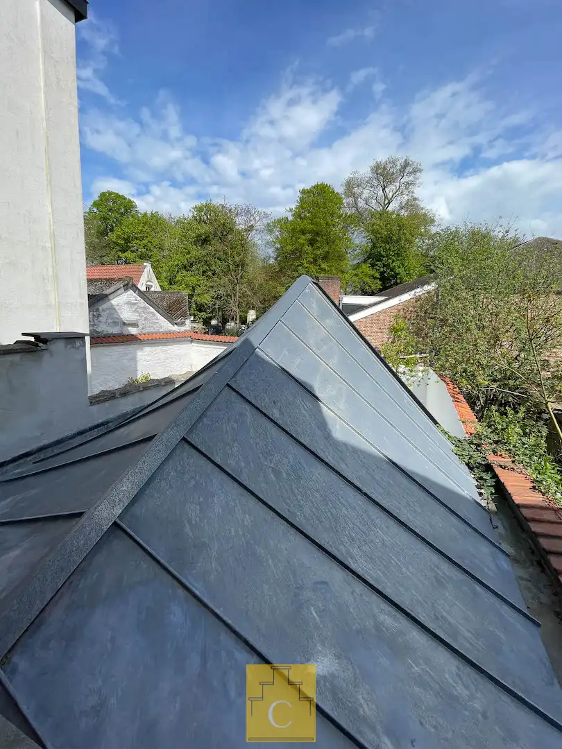 Droomhuis op een toplocatie in Groeninge, palend aan het toekomstig museumpark, zelden geziene high-end afwerking, zonnepanelen en aangename terrastuin foto 12
