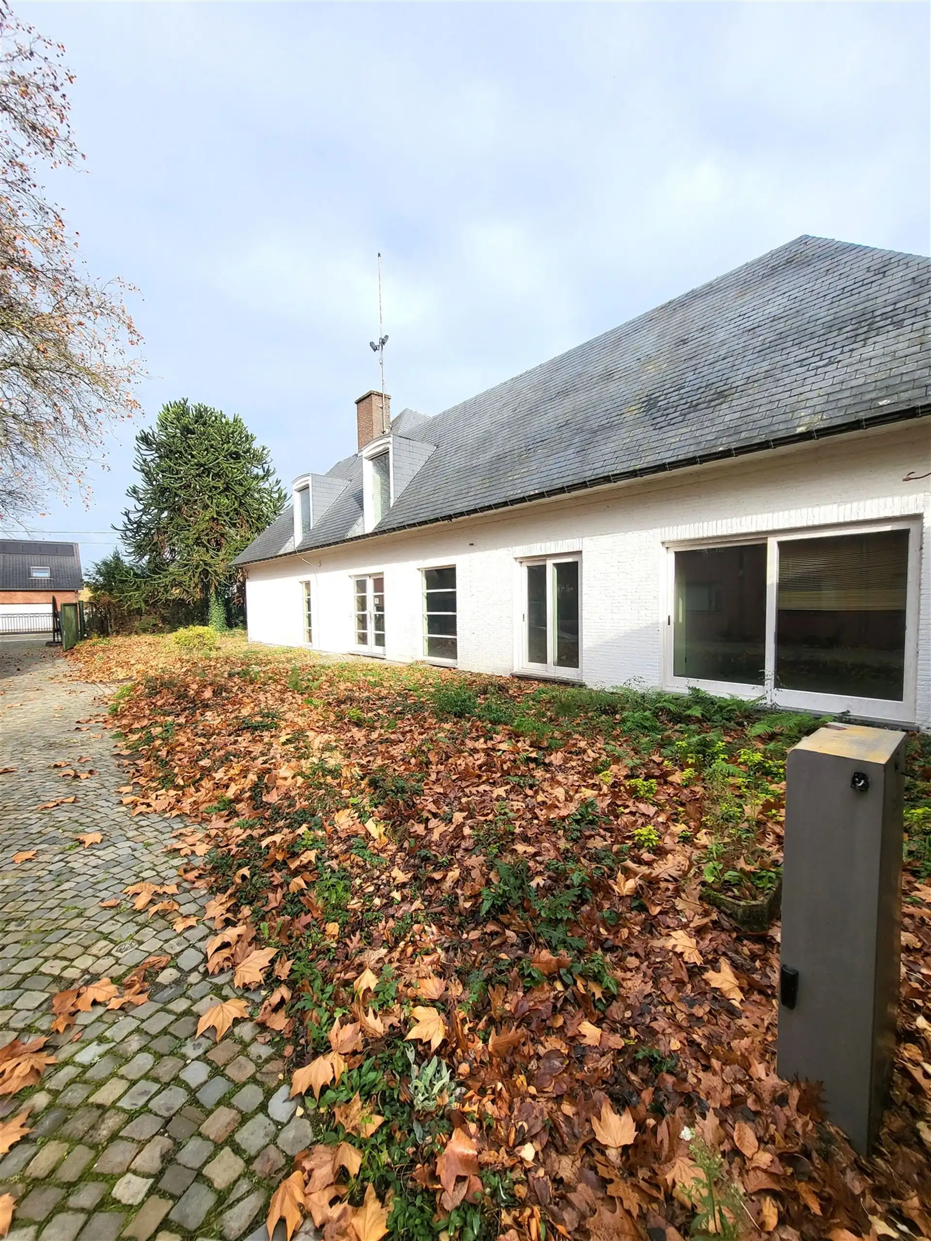 Villa met professionele opslagruimte, kelder en kantoorruimtes. foto 2