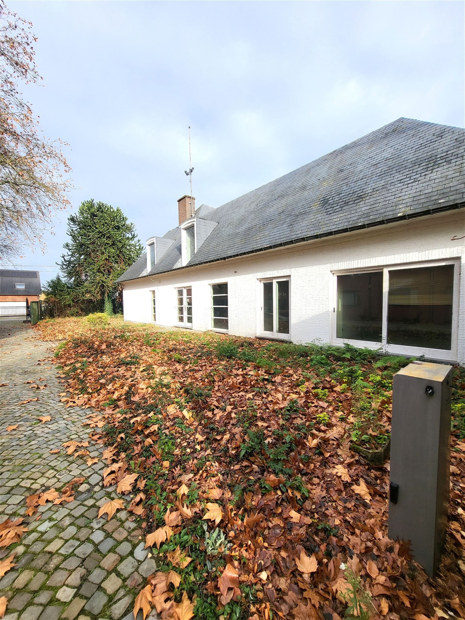 Villa met professionele opslagruimte, kelder en kantoorruimtes. foto 2