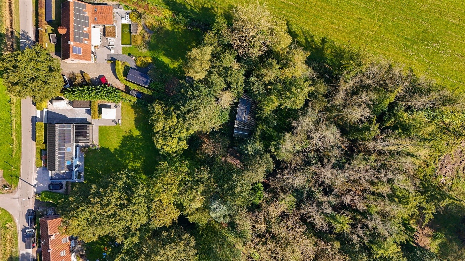 Elegante villa in een prachtige groene omgeving op 3.529m² foto 50