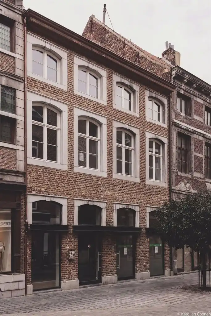 Luxe duplex loft op de tweede verdieping met 2(+1) slaapkamers, ruim terras en optioneel een staanplaats, gelegen in het centrum van Maaseik. foto 19