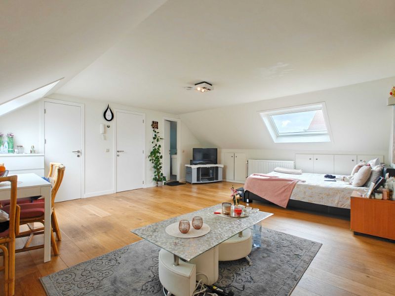Ruime, gezellige studio op prima ligging foto 3