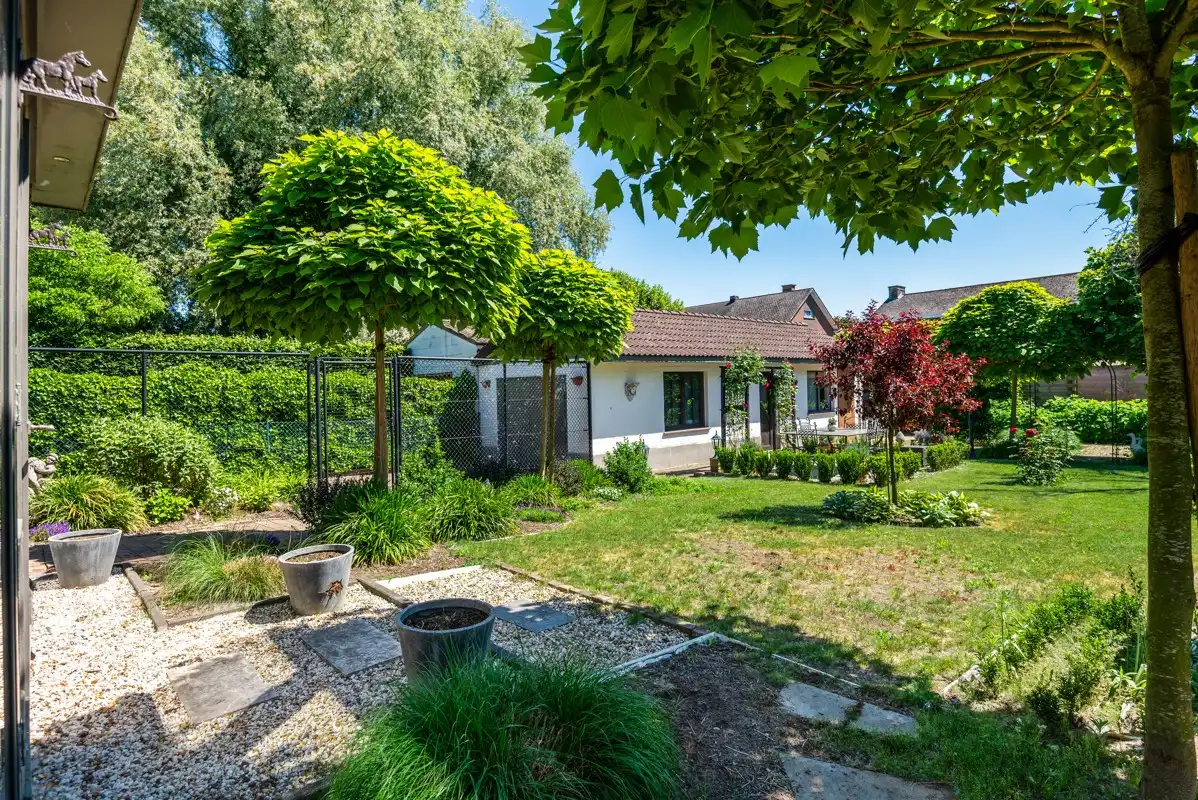 Gelijkvloerswoning met 3 - 4 slaapkamers, garage & prachtig omheinde tuin. foto 24