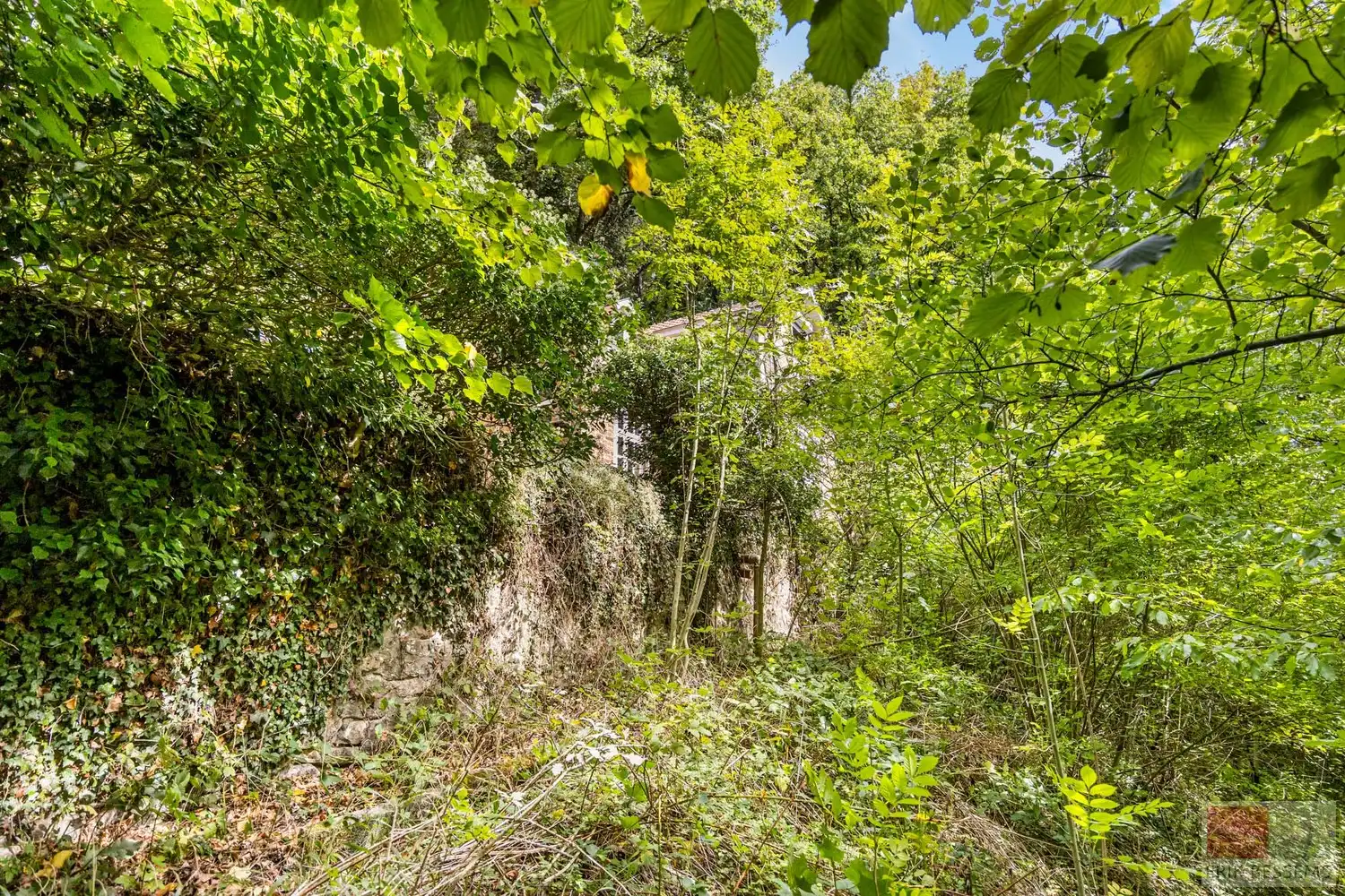 Uitzonderlijke boswoning foto 21