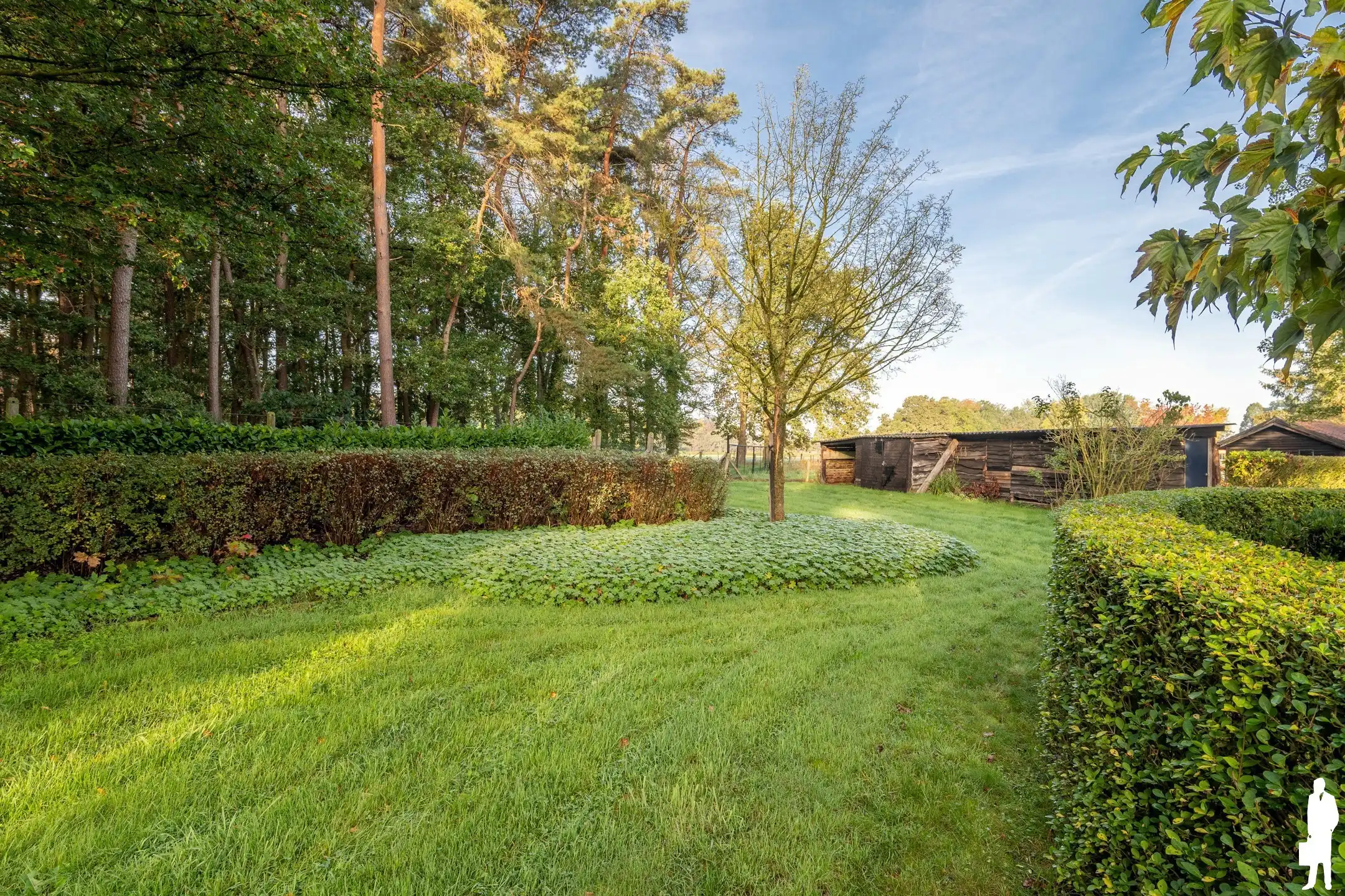 Vrijstaande woning op prachtig perceel van 4.041 m²  foto 21